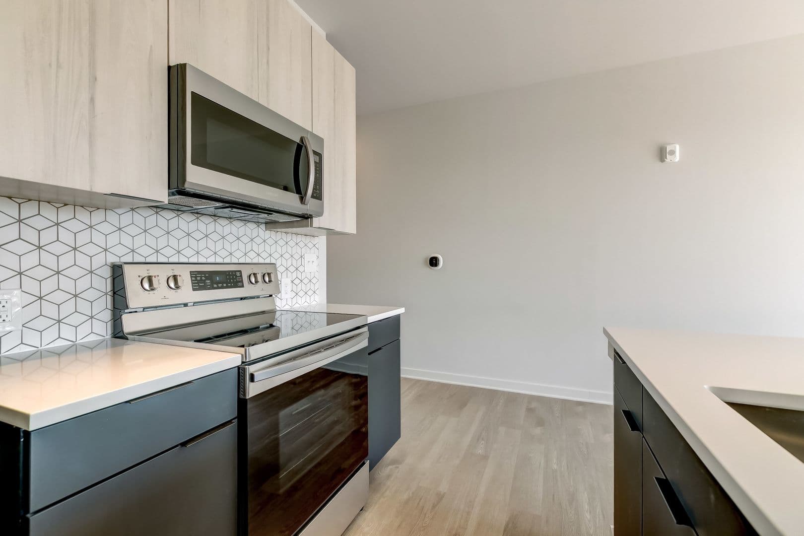 Baltimore Apartment: 115 W Hamburg