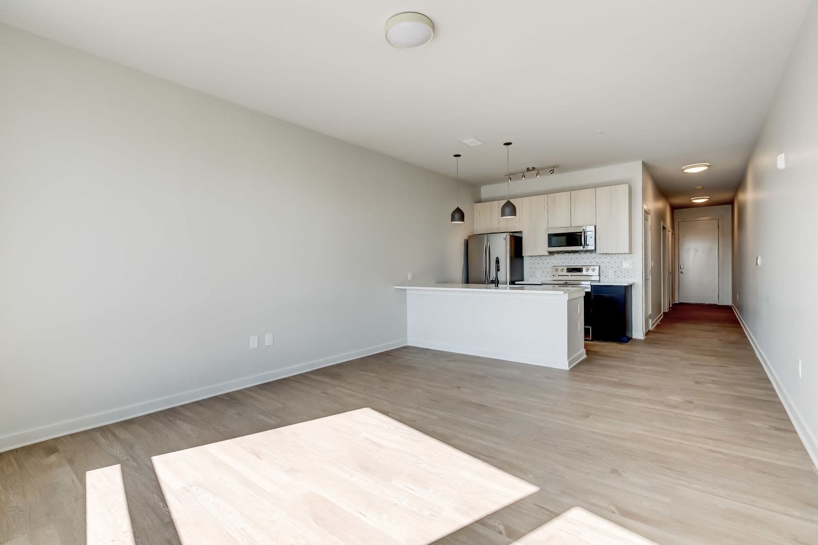 Baltimore Apartment: 115 W Hamburg