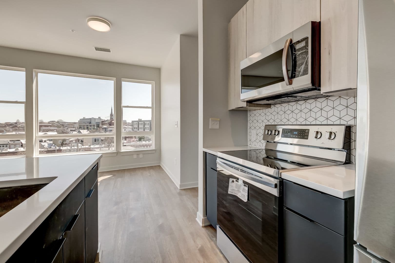 Baltimore Apartment: 115 W Hamburg