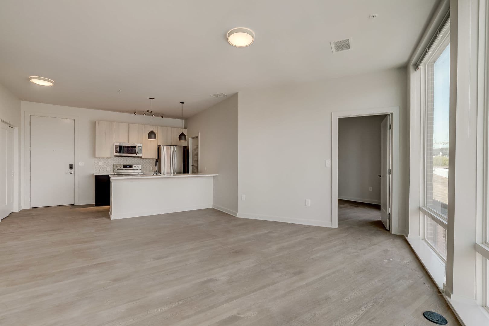Baltimore Apartment: 115 W Hamburg