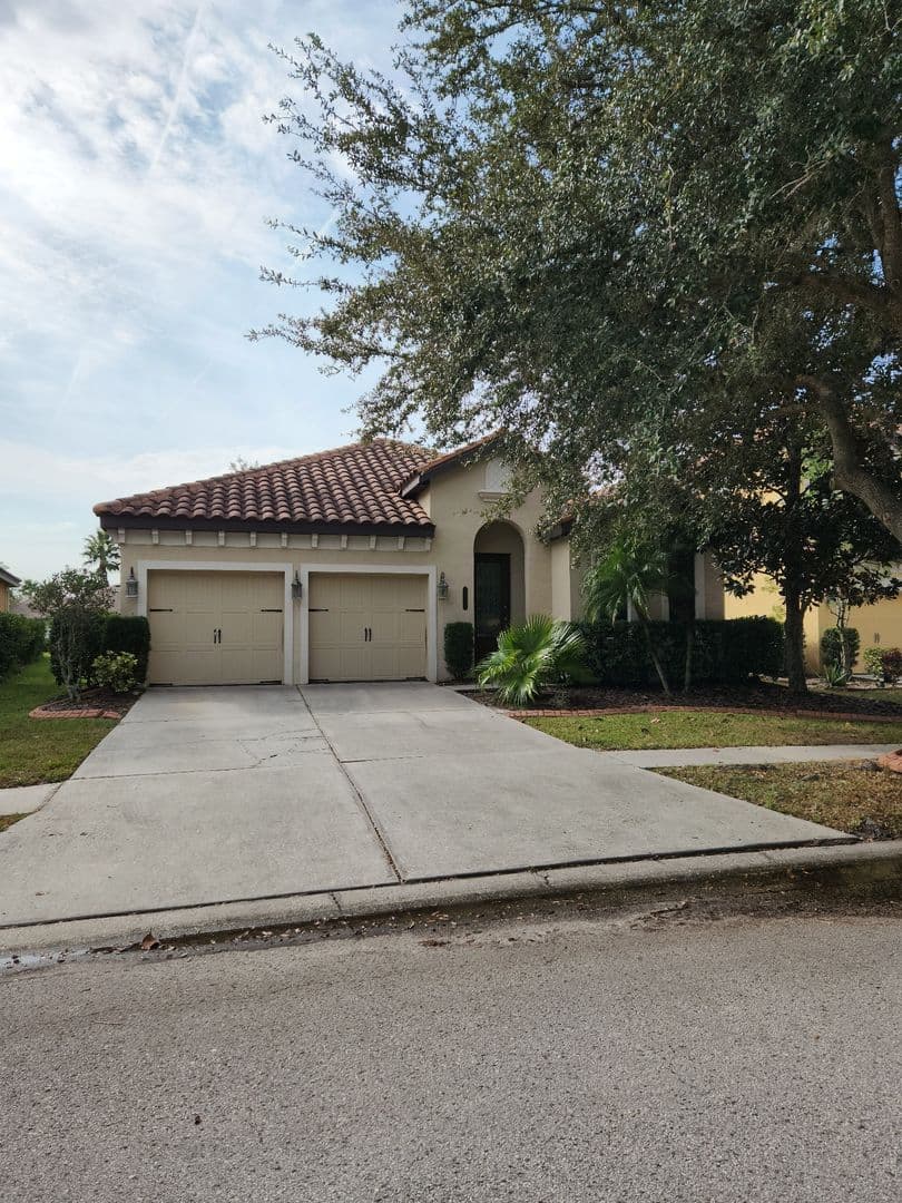Tampa House: 20311 Chesnut Grove Dr