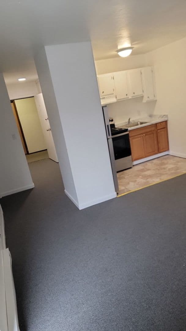 San Francisco Apartment: 291 Santos St.