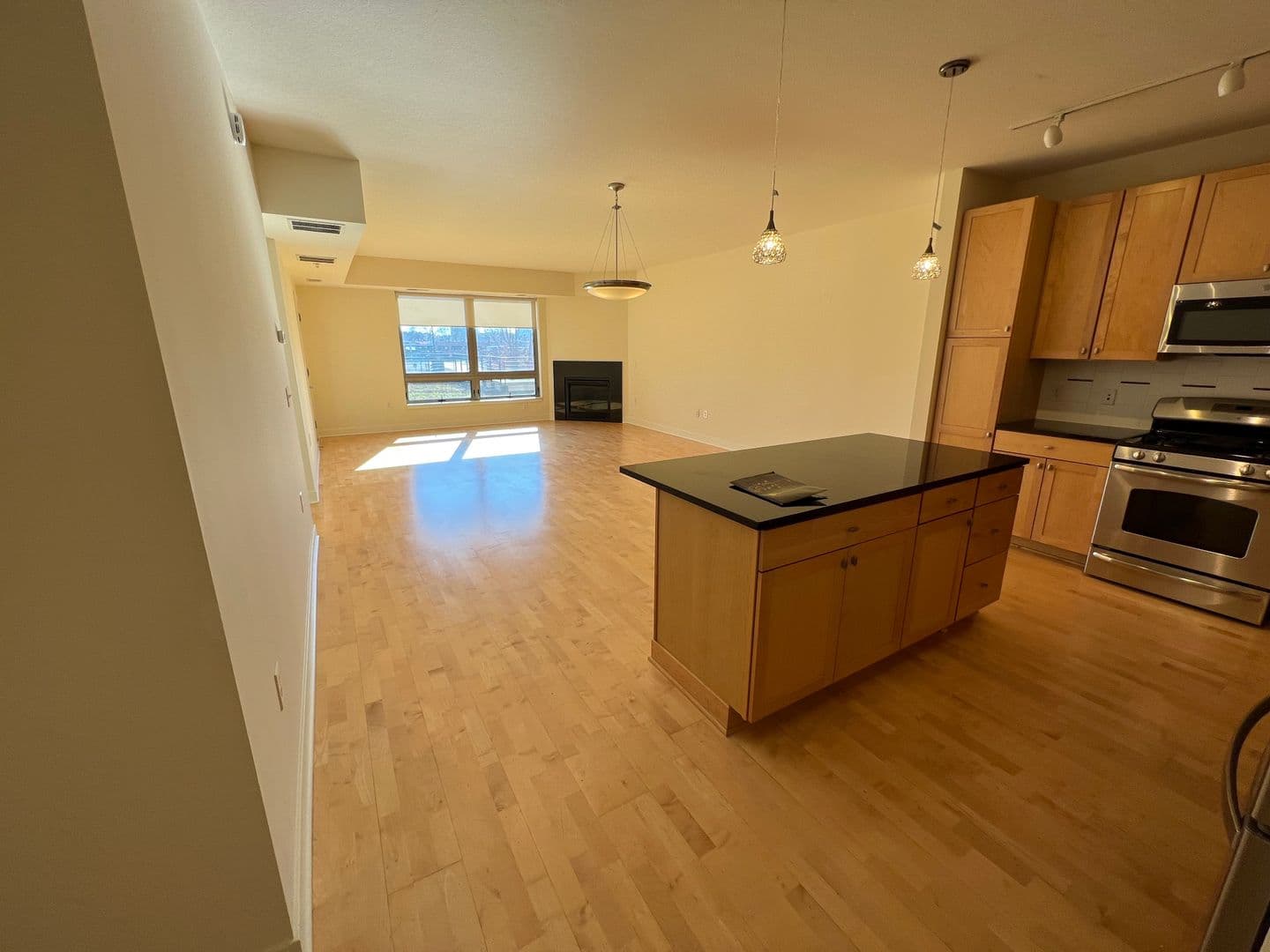 Edina Apartment: 4910 West 77th Street
