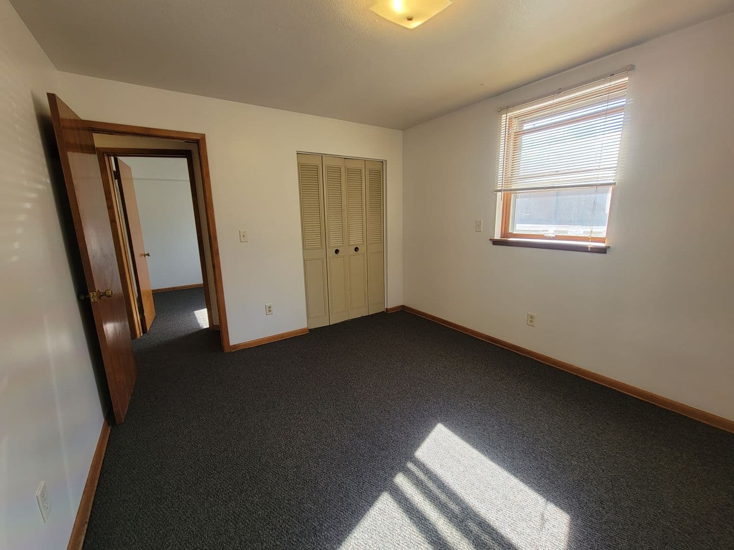 St Paul Apartment: 1310 Maryland Ave E