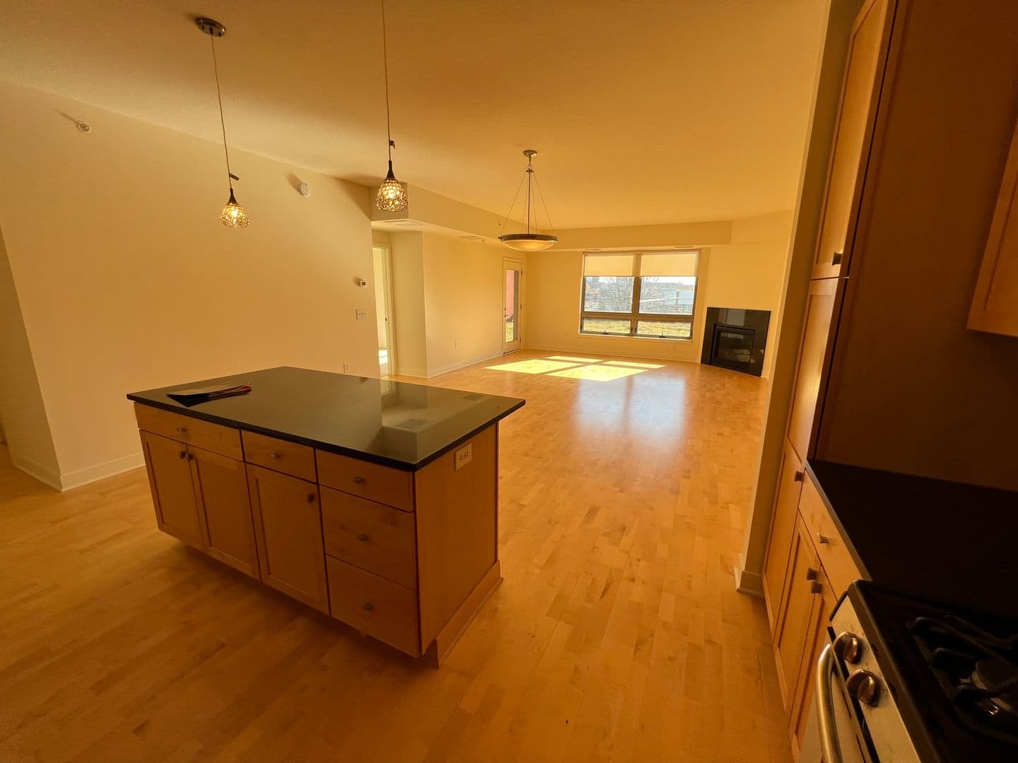 Edina Apartment: 4910 West 77th Street