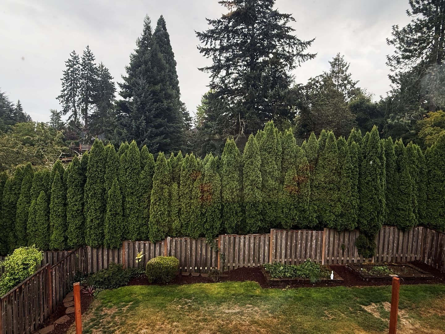 Tigard House: 13354 SW Ouzel Lane