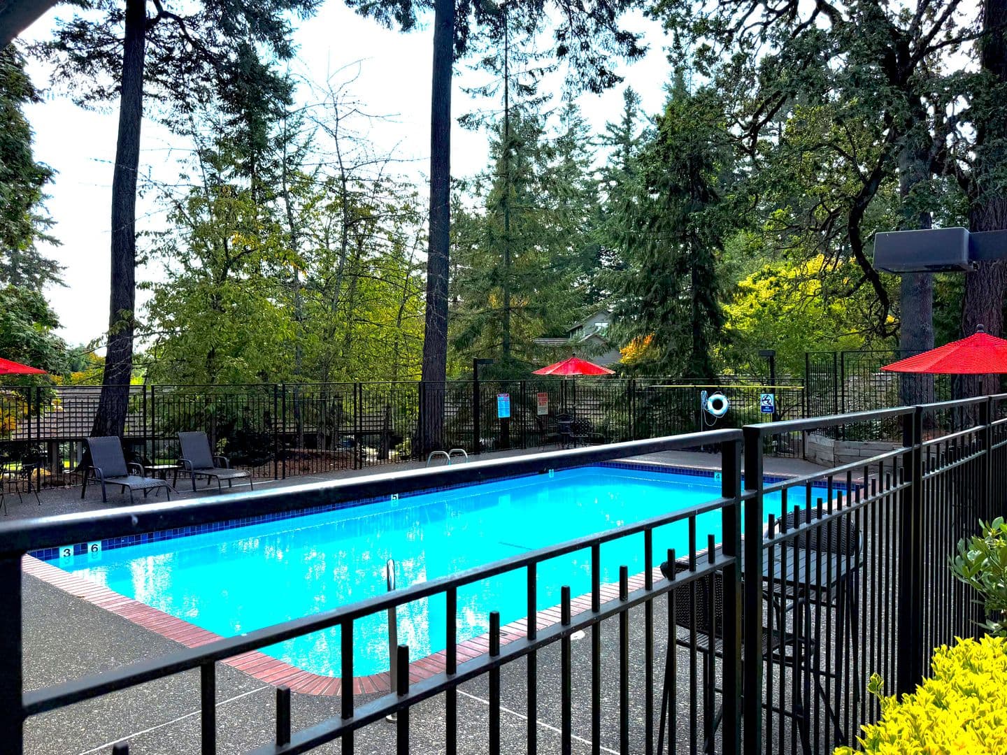 Lake Oswego Condo: 4000 Carman Drive Bld. B Unit 31