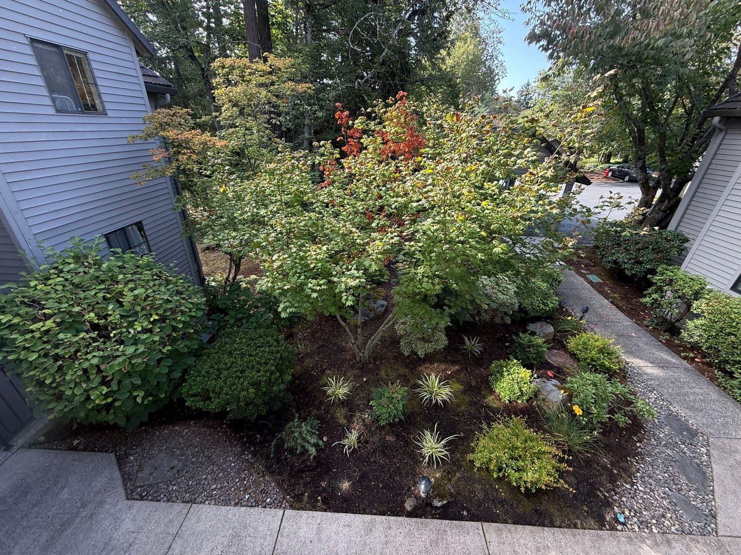 Lake Oswego Condo: 4000 Carman Drive Bld. B Unit 31