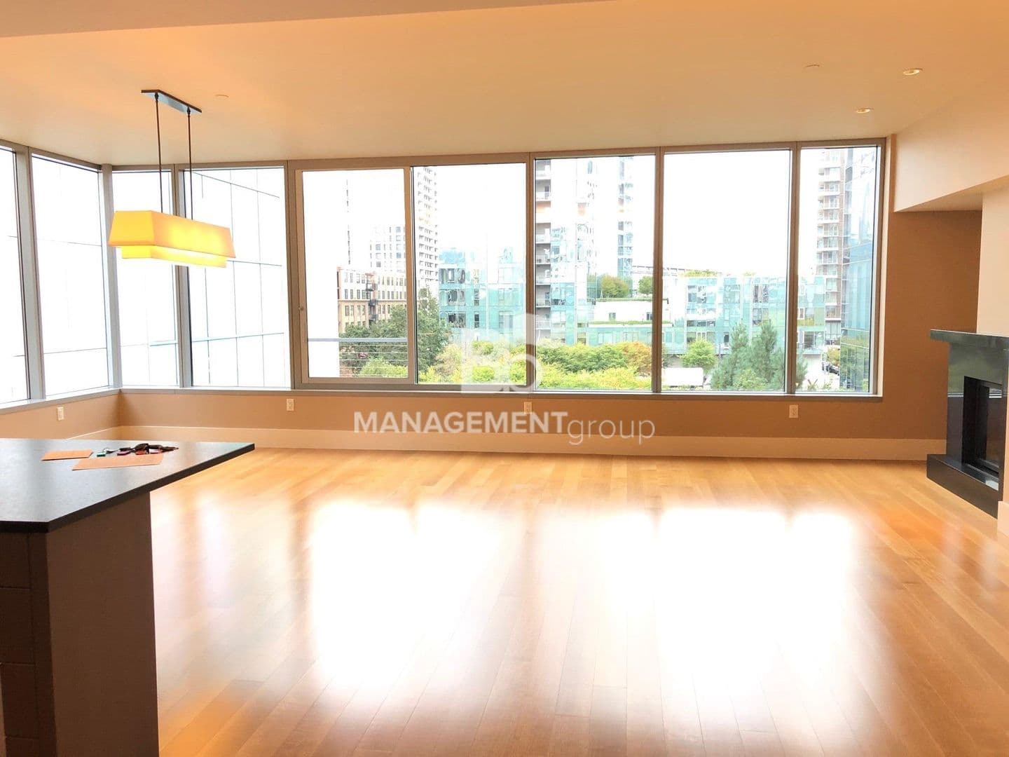 Portland Condo: 1001 NW Lovejoy Unit#408