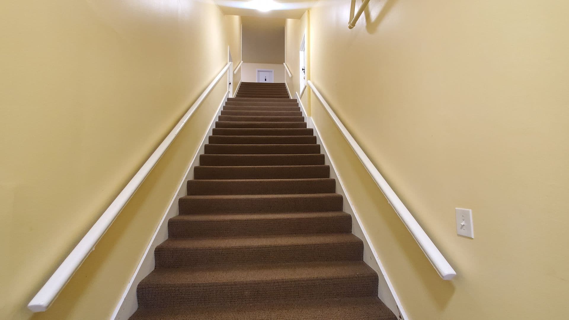 Tacoma Apartment: 1204 S. Proctor St