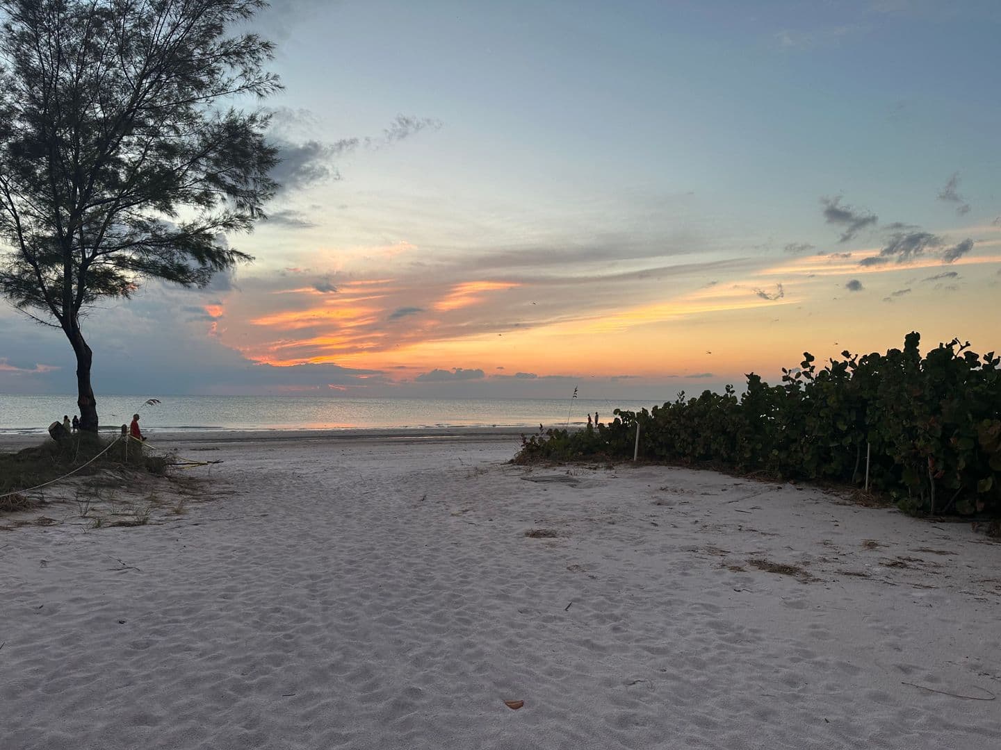 Indian Rocks Beach Apartment: 19804 Gulf Blvd.