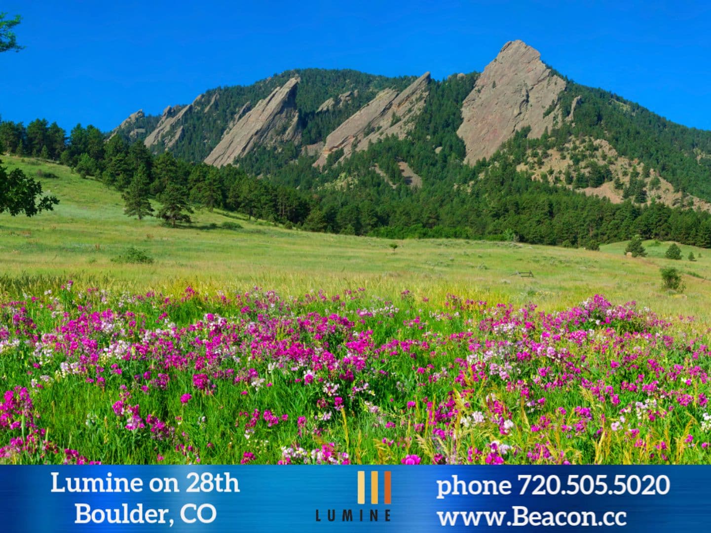 Boulder Apartment: 2785 28th Street