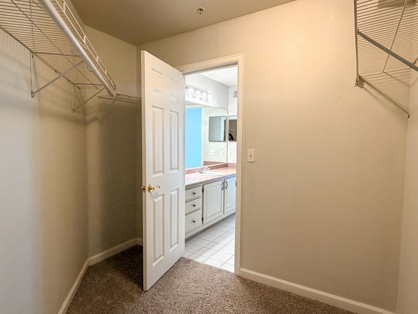 Littleton Condo: 12233 W Cross Dr #208