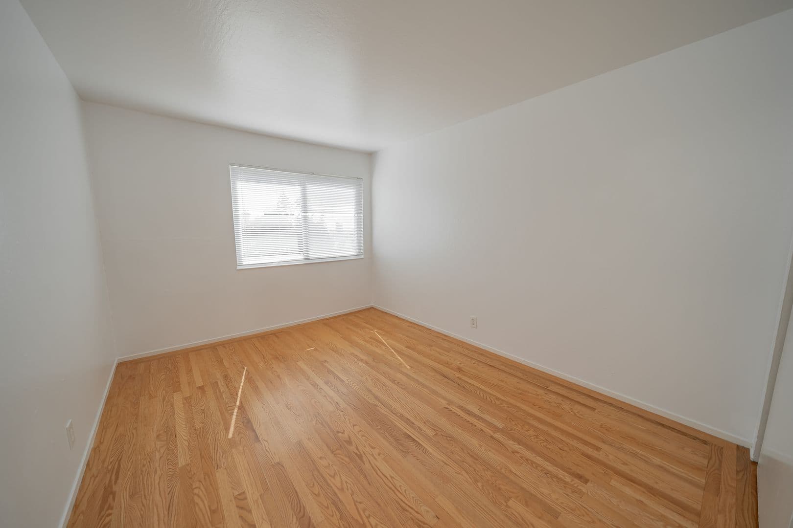 Oakland Apartment: 354 Vernon Street