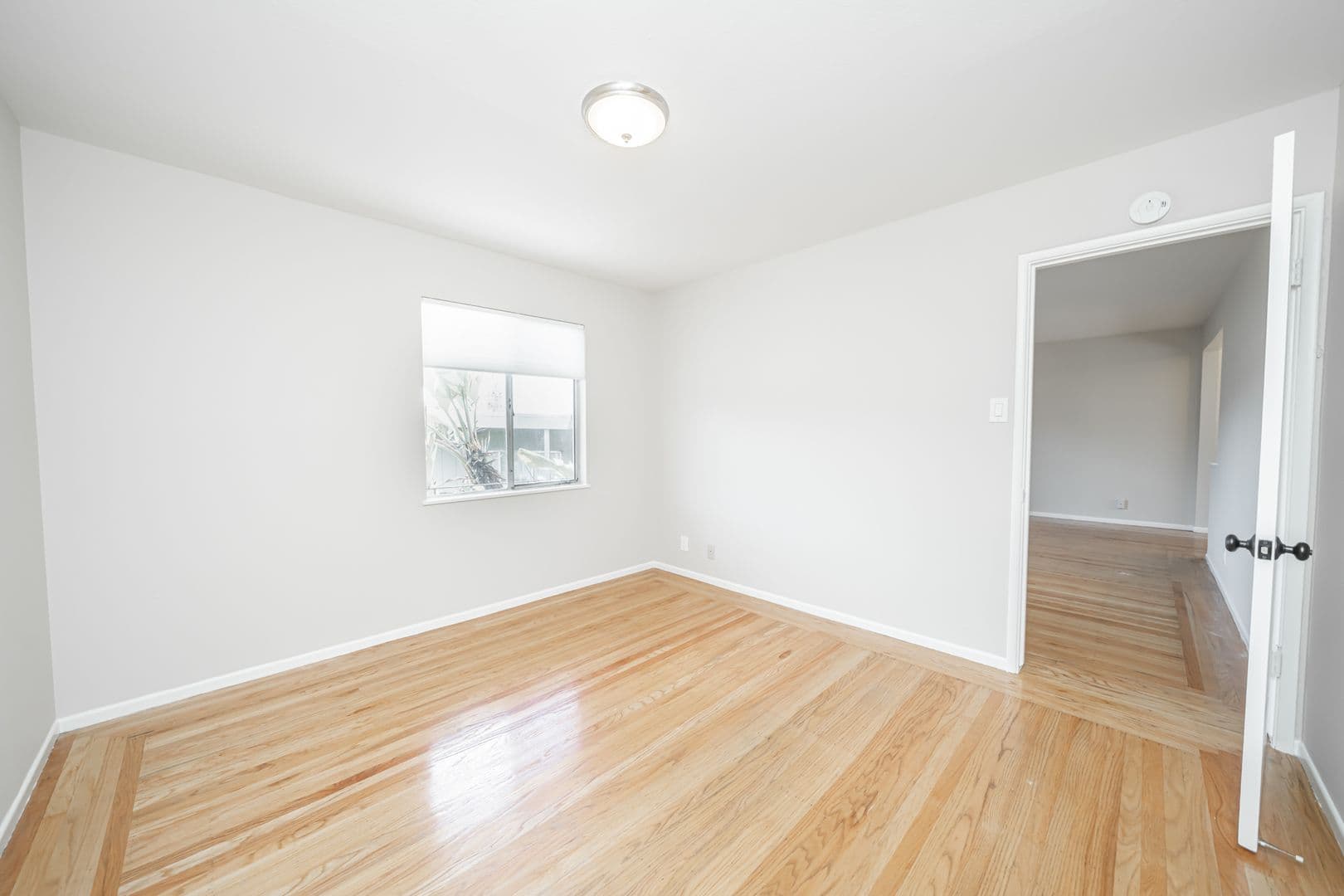 Oakland Apartment: 2275 Park Blvd
