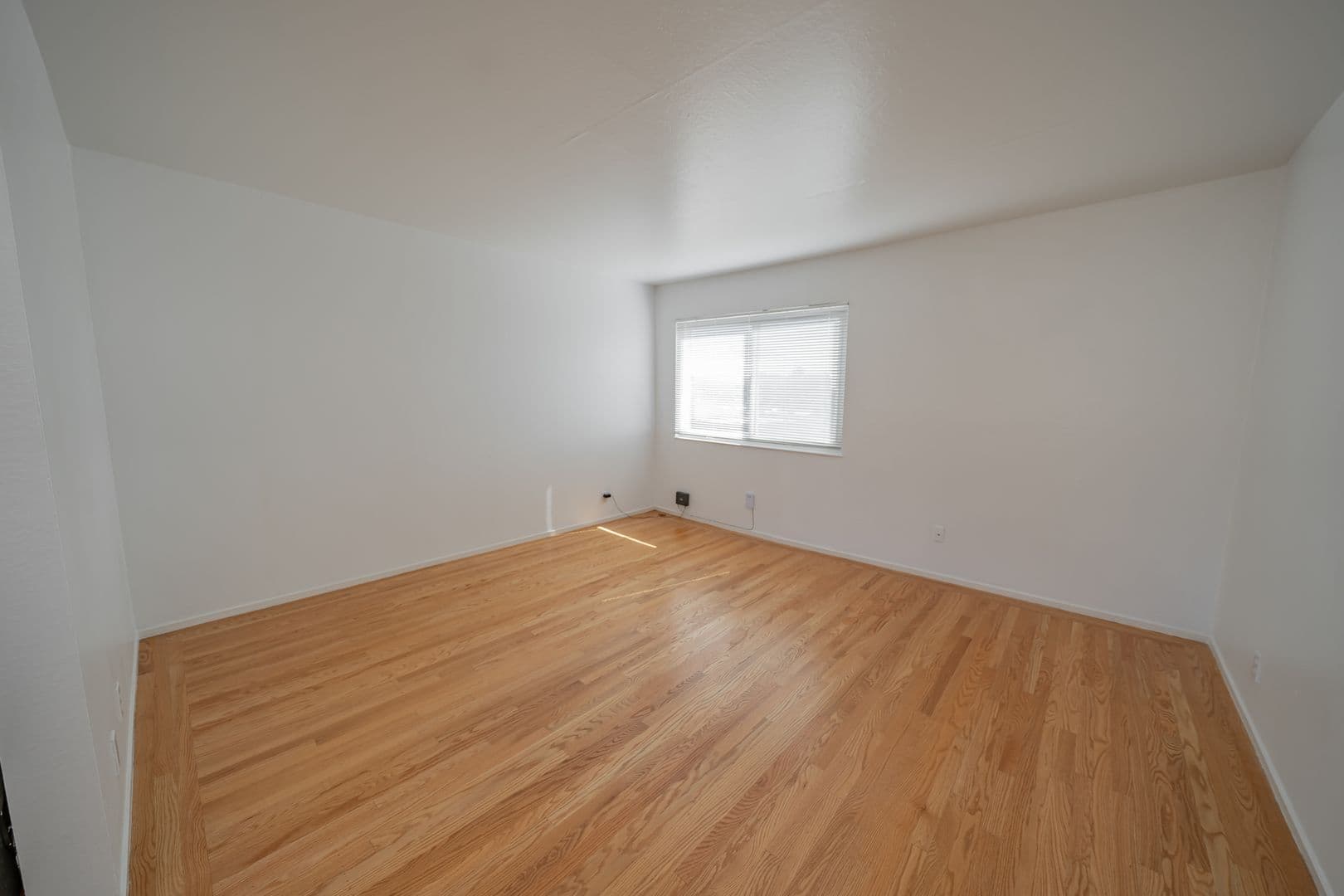 Oakland Apartment: 354 Vernon Street
