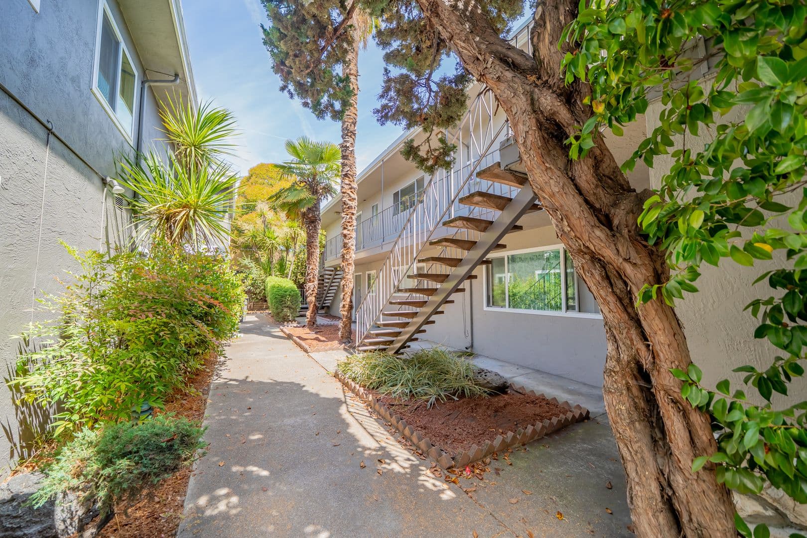 Oakland Apartment: 3222 Delaware Street