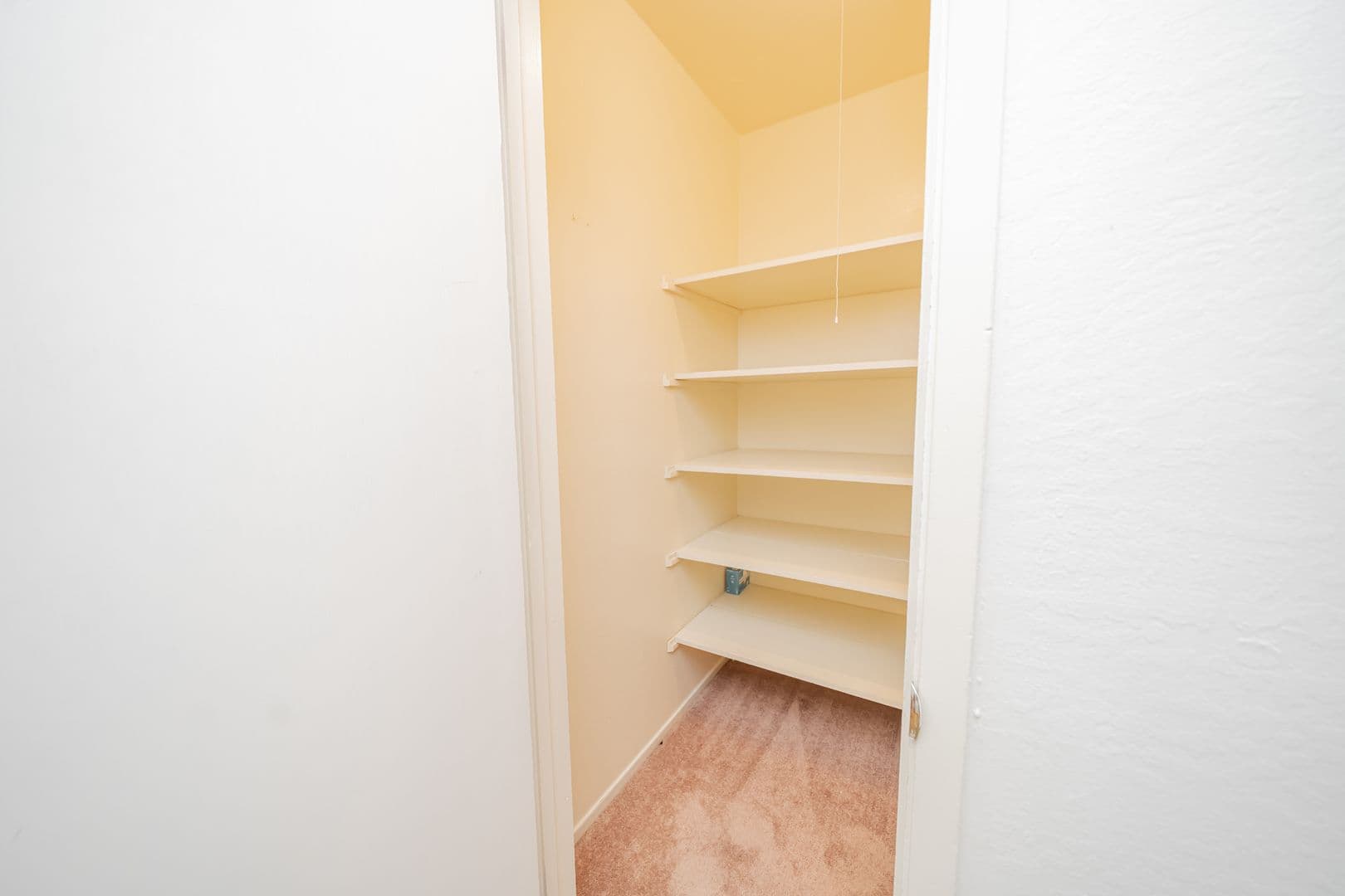 Oakland Apartment: 36 Moss Avenue
