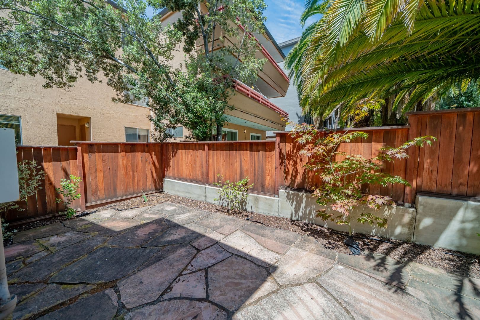 Berkeley Apartment: 2209 Cedar Street