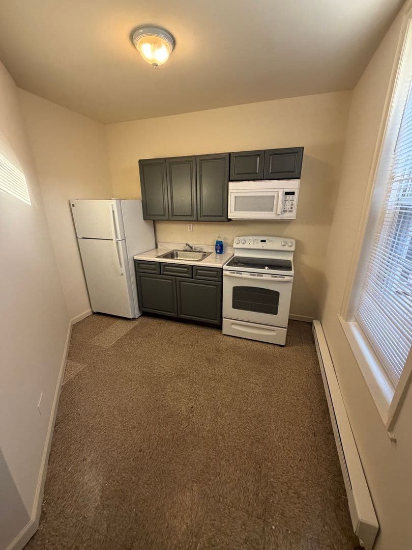 Philadelphia Apartment: 1103 Lindley Ave