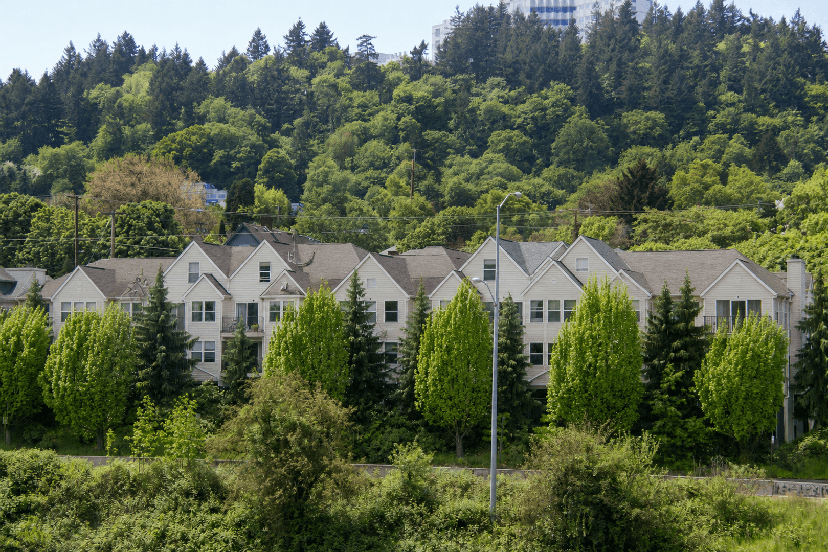 Portland Apartment: 329 S Whitaker St.