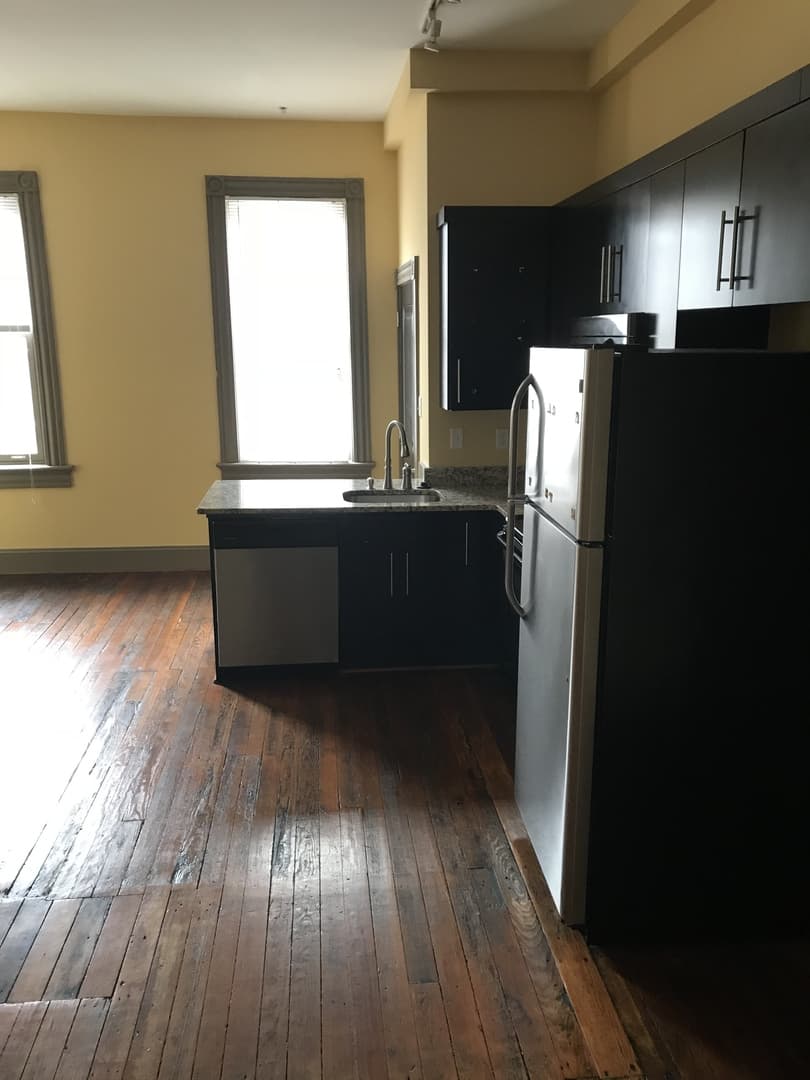 Richmond Apartment: 217 E Grace St