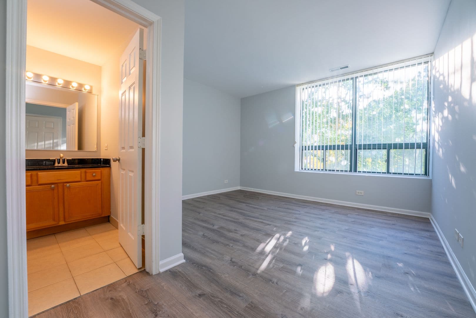 Chicago Apartment: 2451 W Howard Street