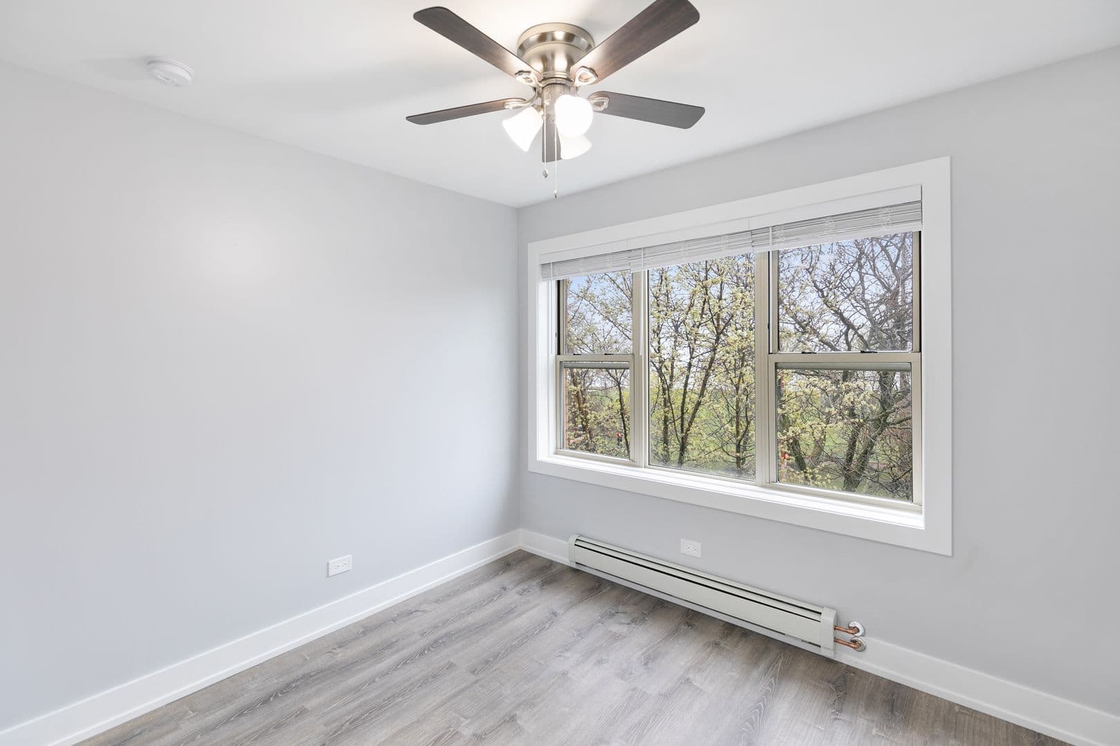 Chicago Apartment: 7070 N Sheridan Rd