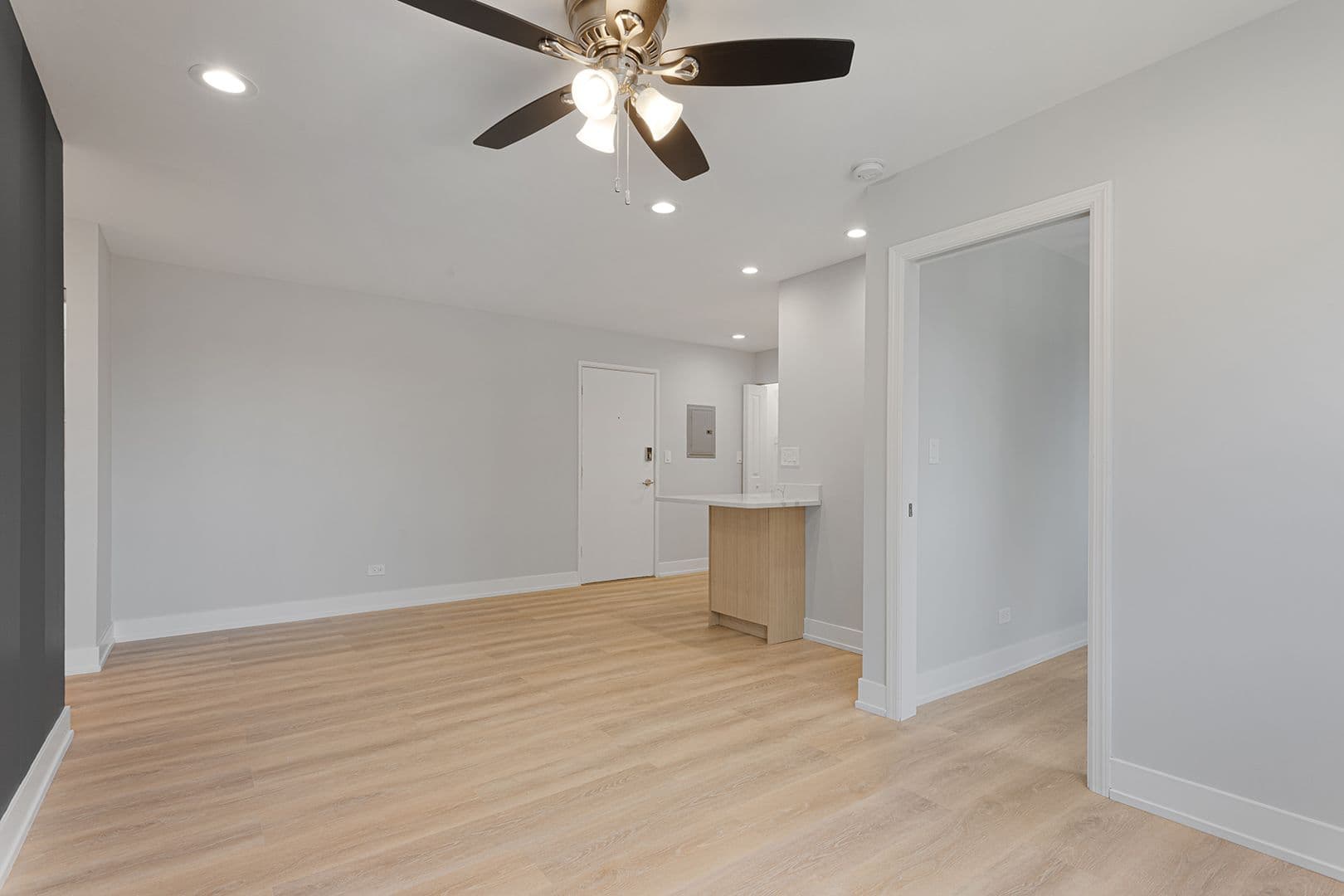 Chicago Apartment: 6021 N Winthrop Ave