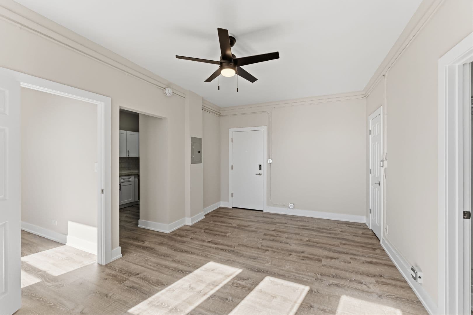 Chicago Apartment: 6807 N Sheridan Road