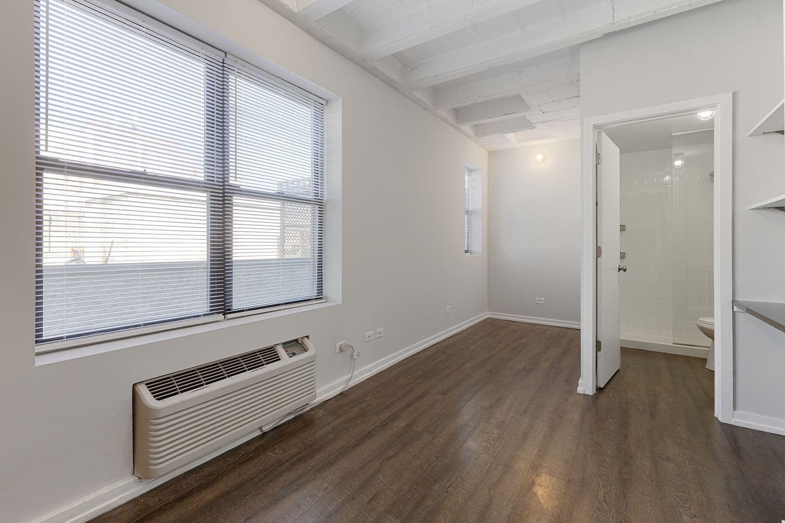 Chicago Apartment: 5718 N Winthrop Avenue
