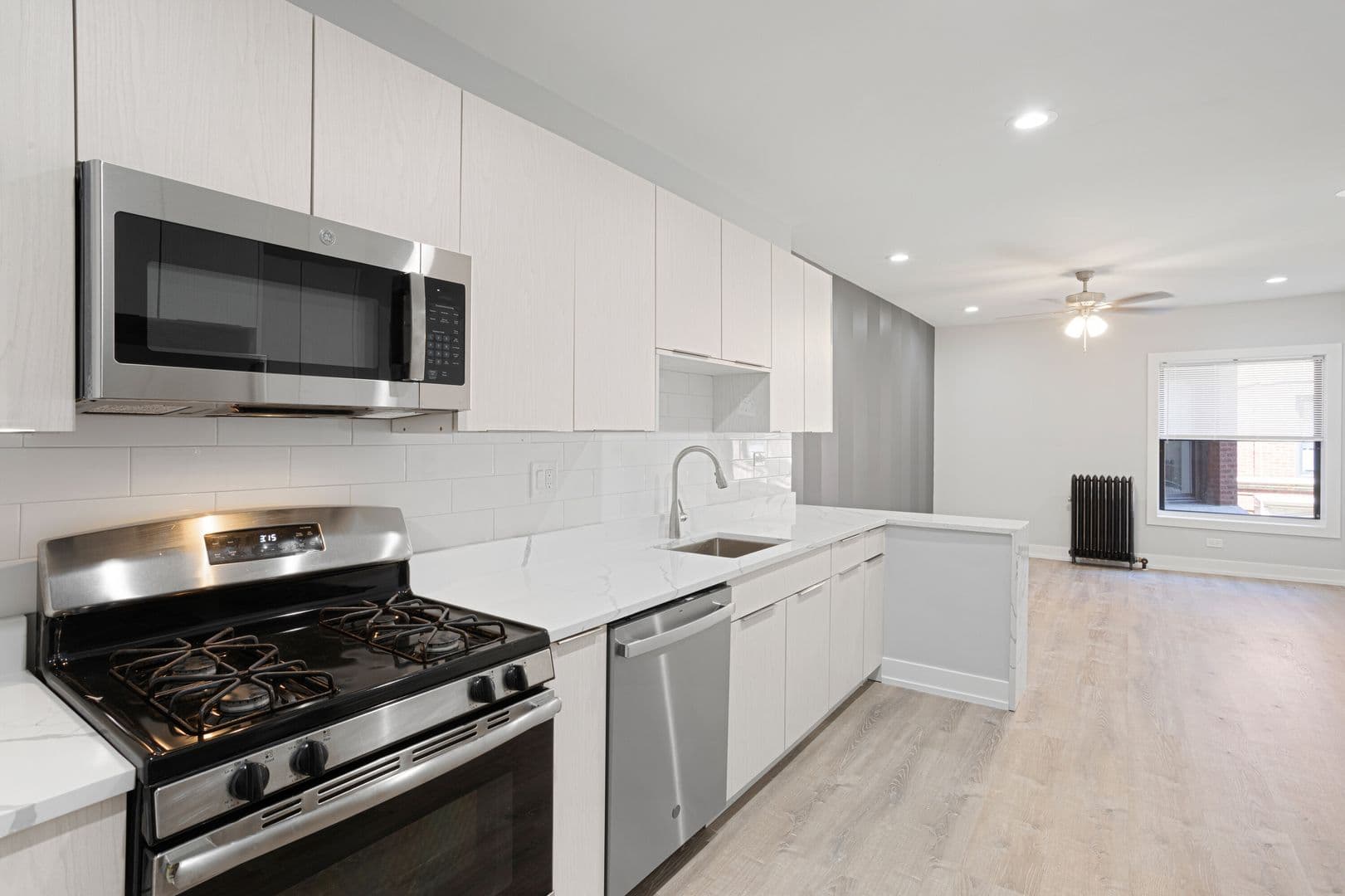 Chicago Apartment: 1700-08 W Juneway Terrace