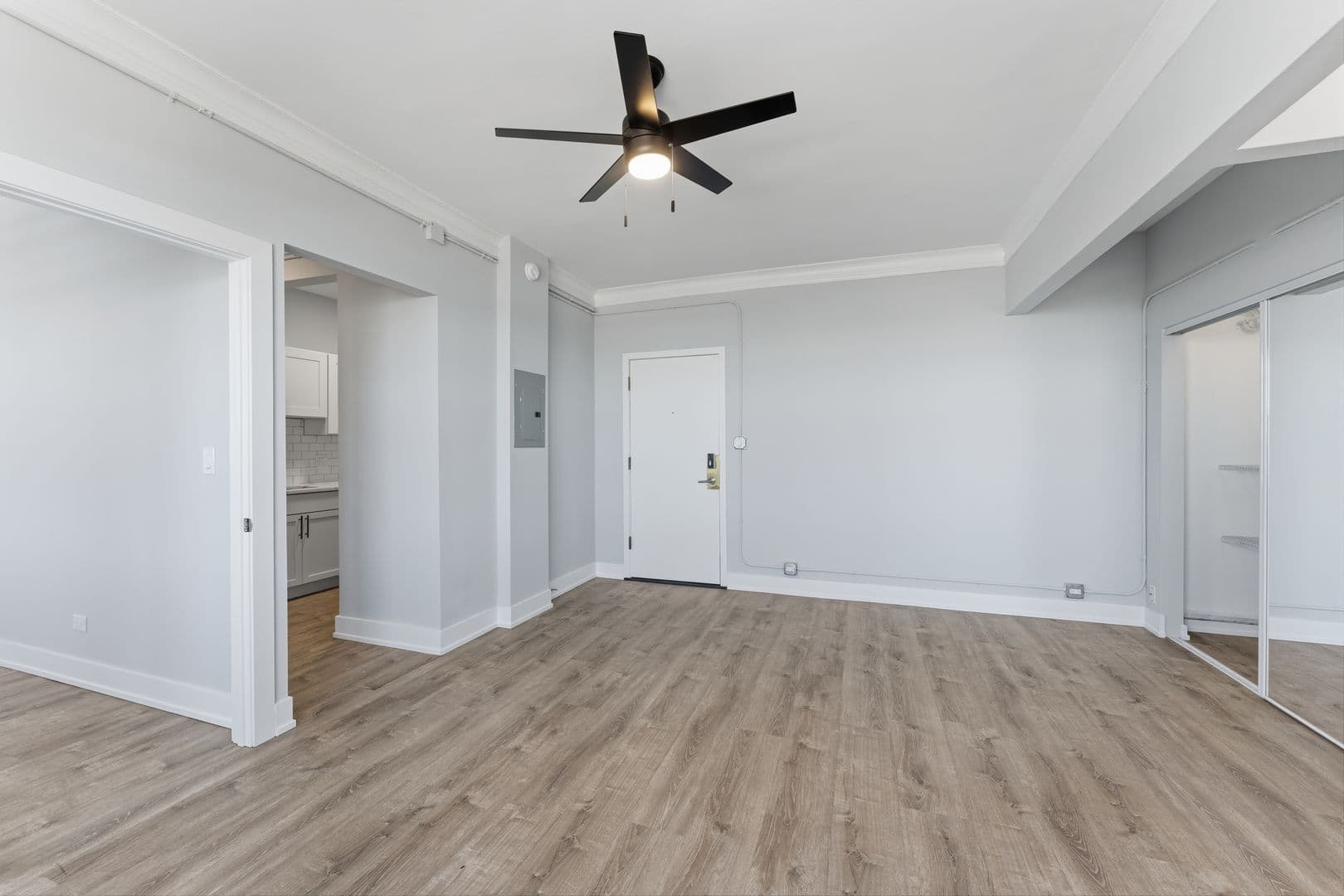 Chicago Apartment: 6807 N Sheridan Road