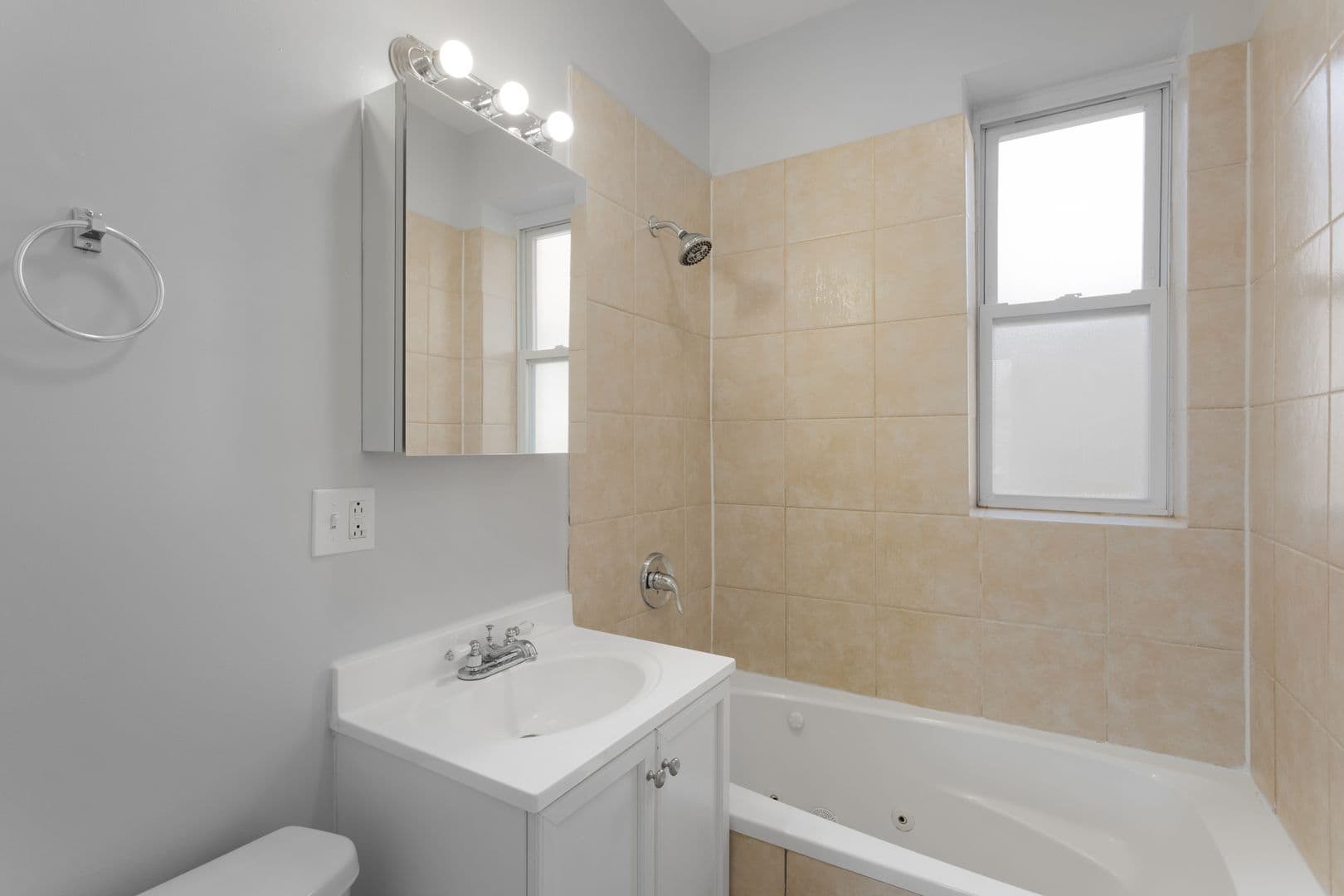 Chicago Apartment: 7320-30 N Damen Ave