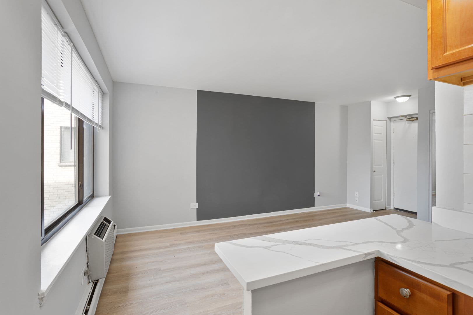 Chicago Apartment: 6758 N. Sheridan Rd.
