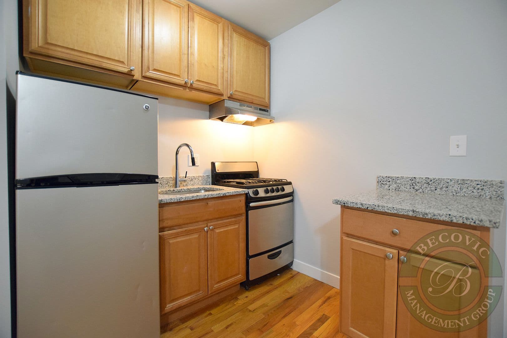 Chicago Apartment: 7450-7456 N Greenview Ave
