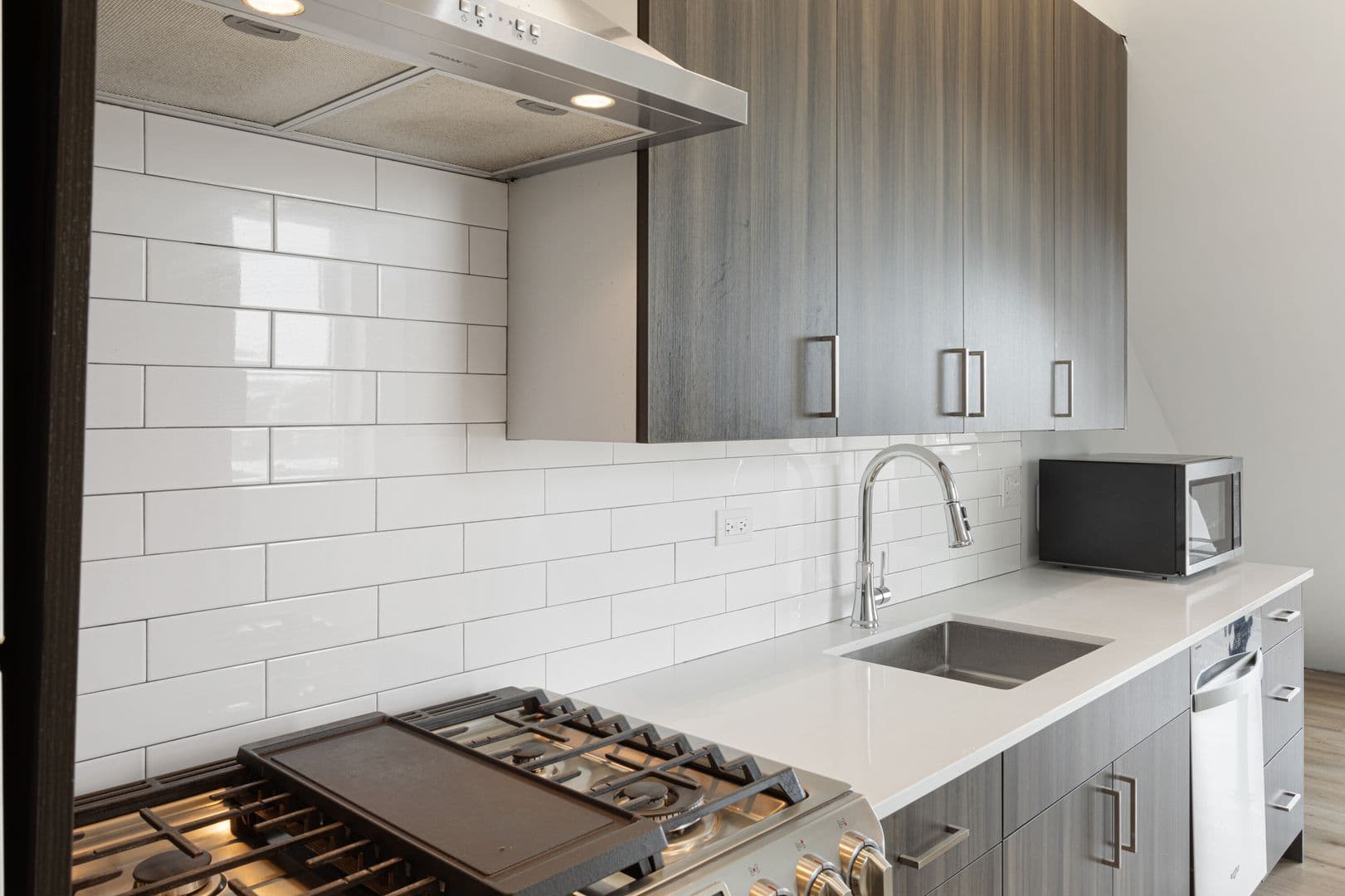 Chicago Apartment: 1531 W Howard Street