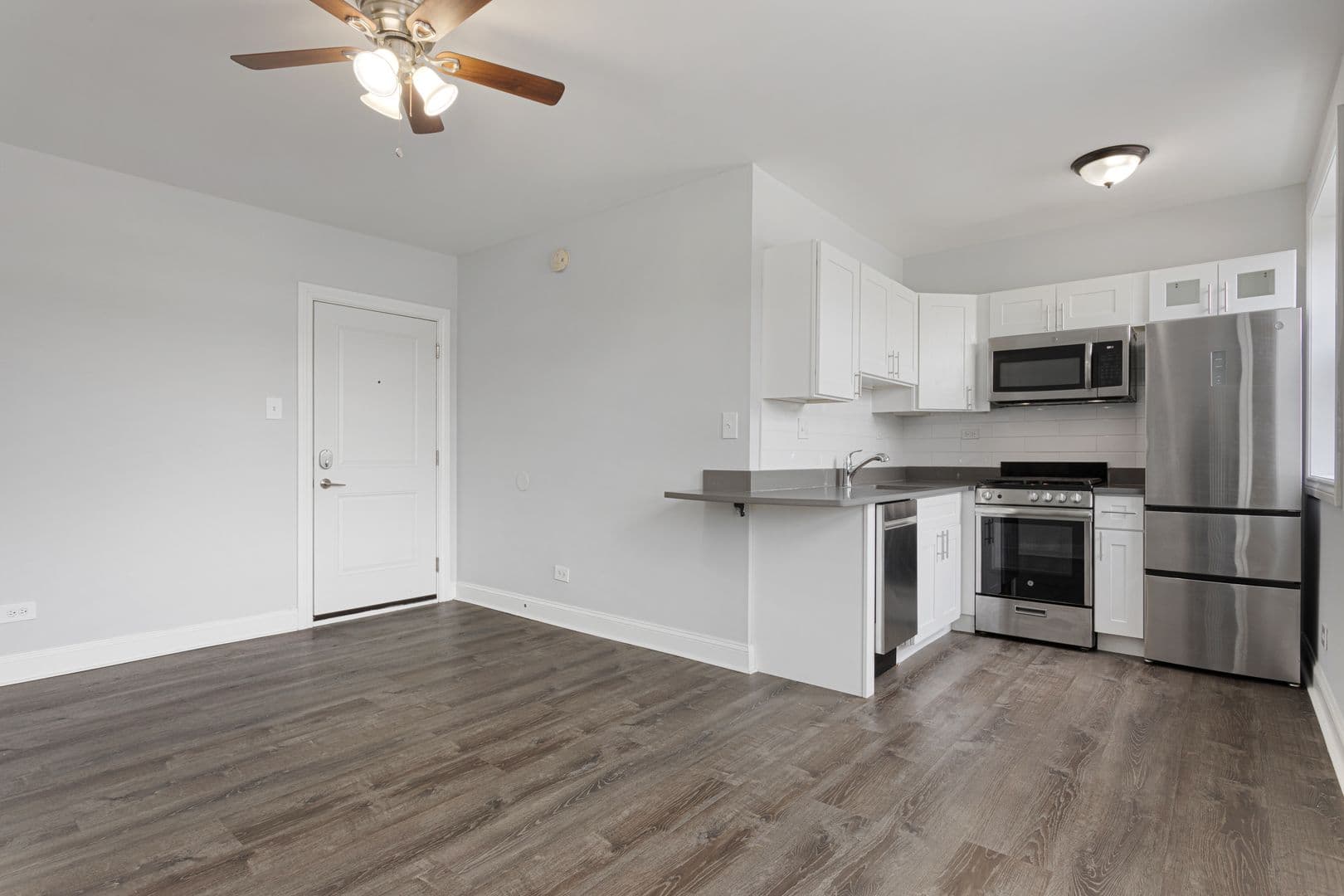 Chicago Apartment: 1521 W Sherwin Ave