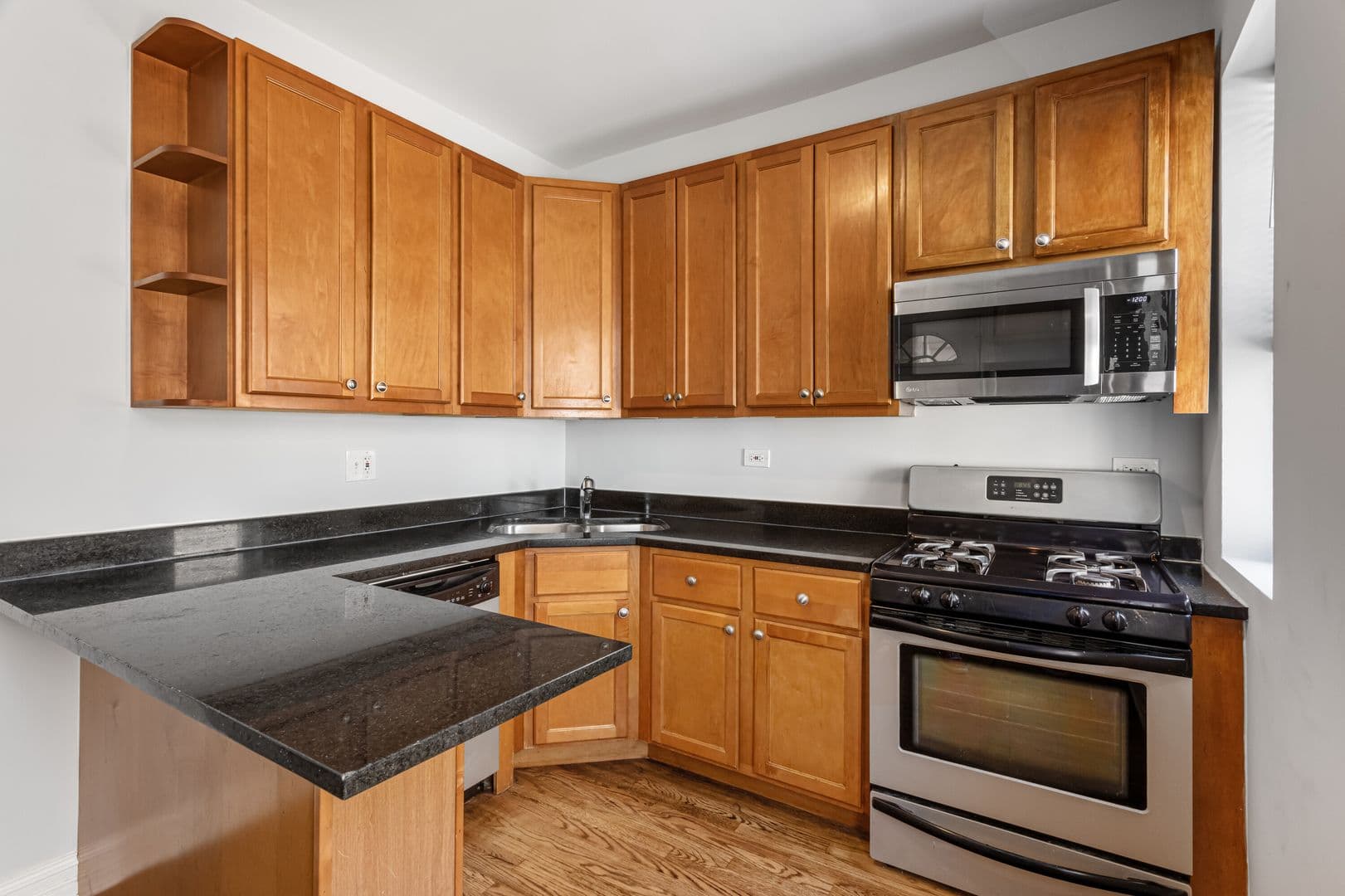 Chicago Apartment: 7320-30 N Damen Ave