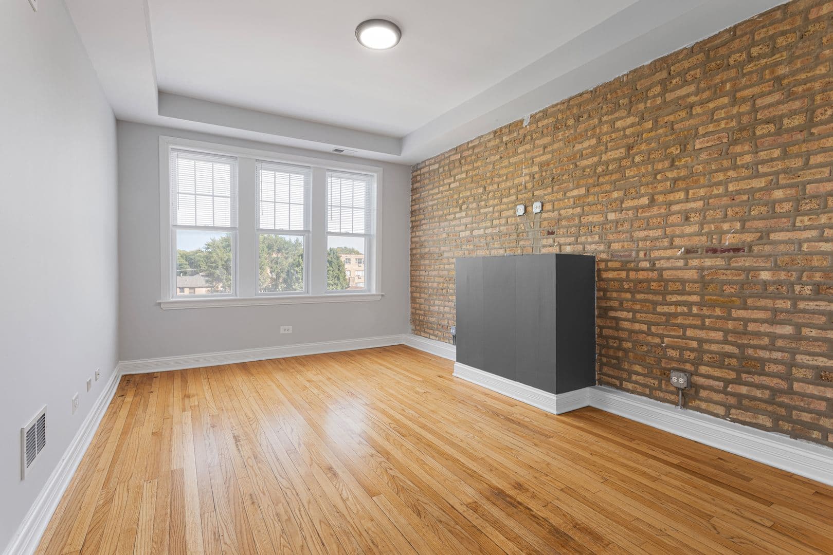 Chicago Apartment: 7320-30 N Damen Ave