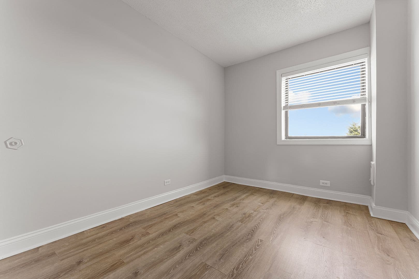 Chicago Apartment: 4520 N Clarendon Ave