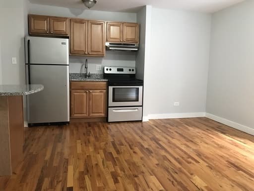 Chicago Apartment: 7450-7456 N Greenview Ave