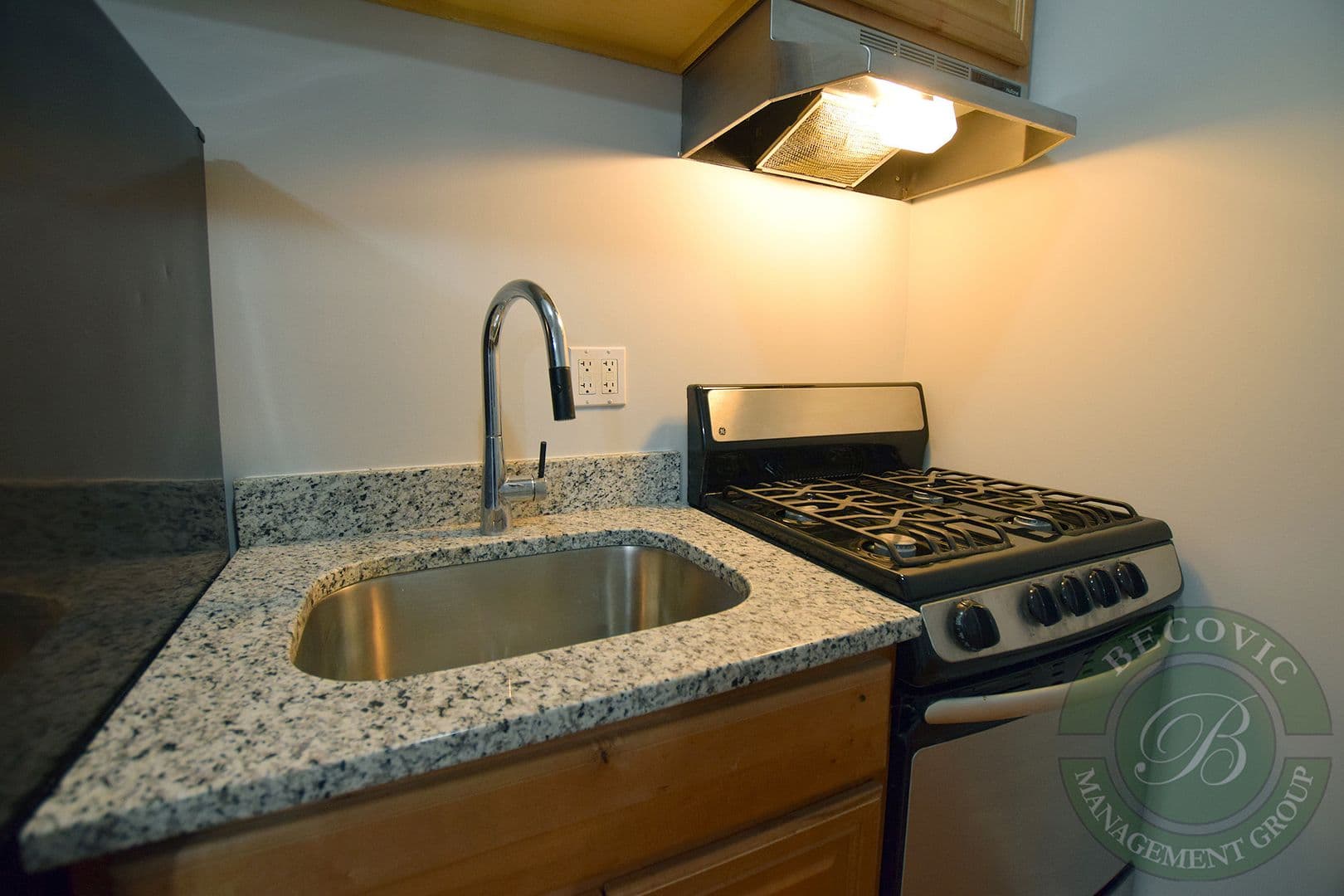 Chicago Apartment: 7450-7456 N Greenview Ave
