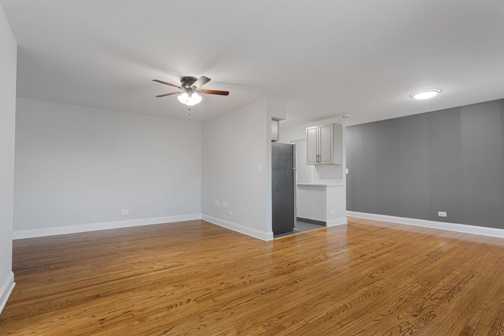 Chicago Apartment: 7545 N Winchester Avenue