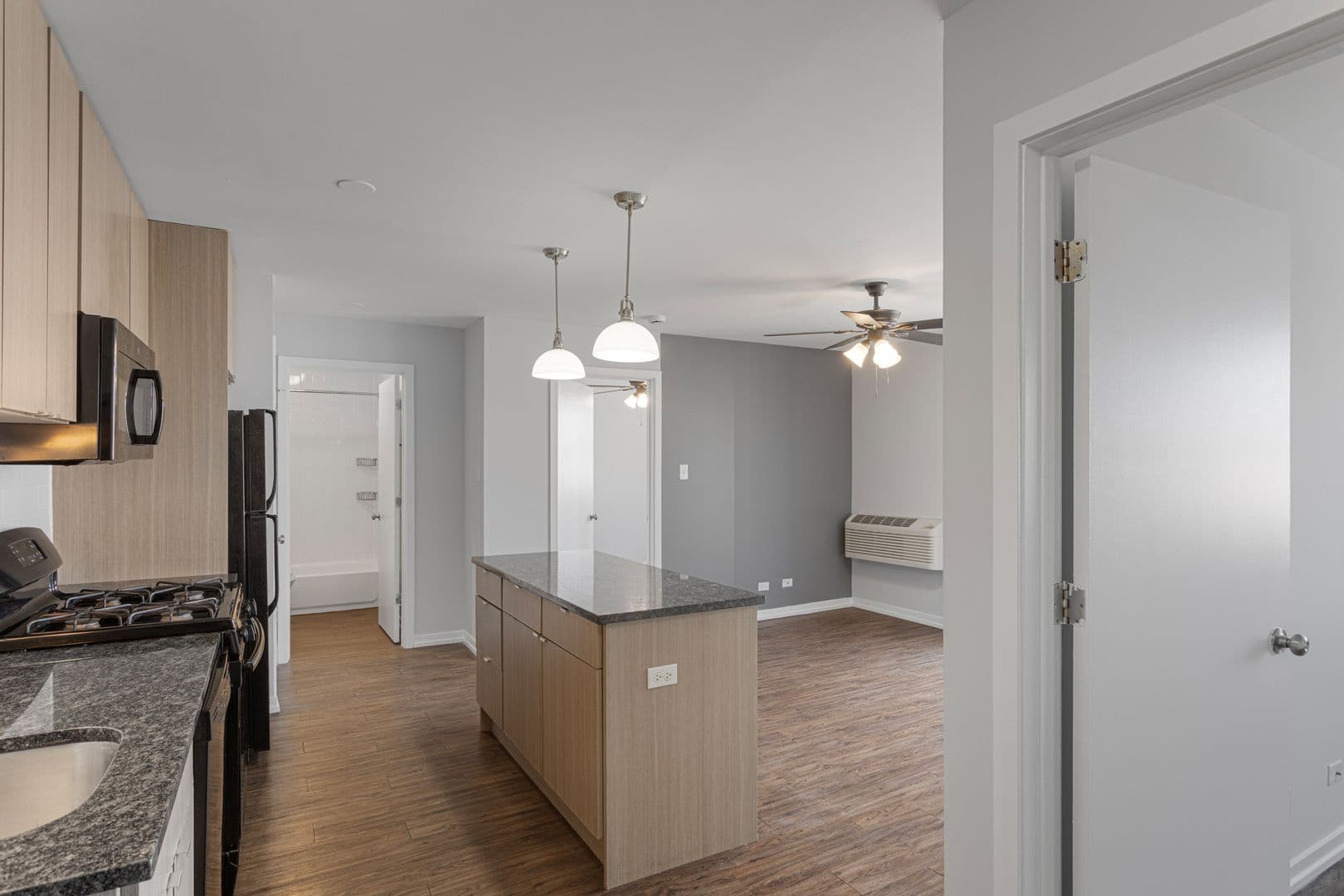Chicago Apartment: 5411 N Winthrop Avenue
