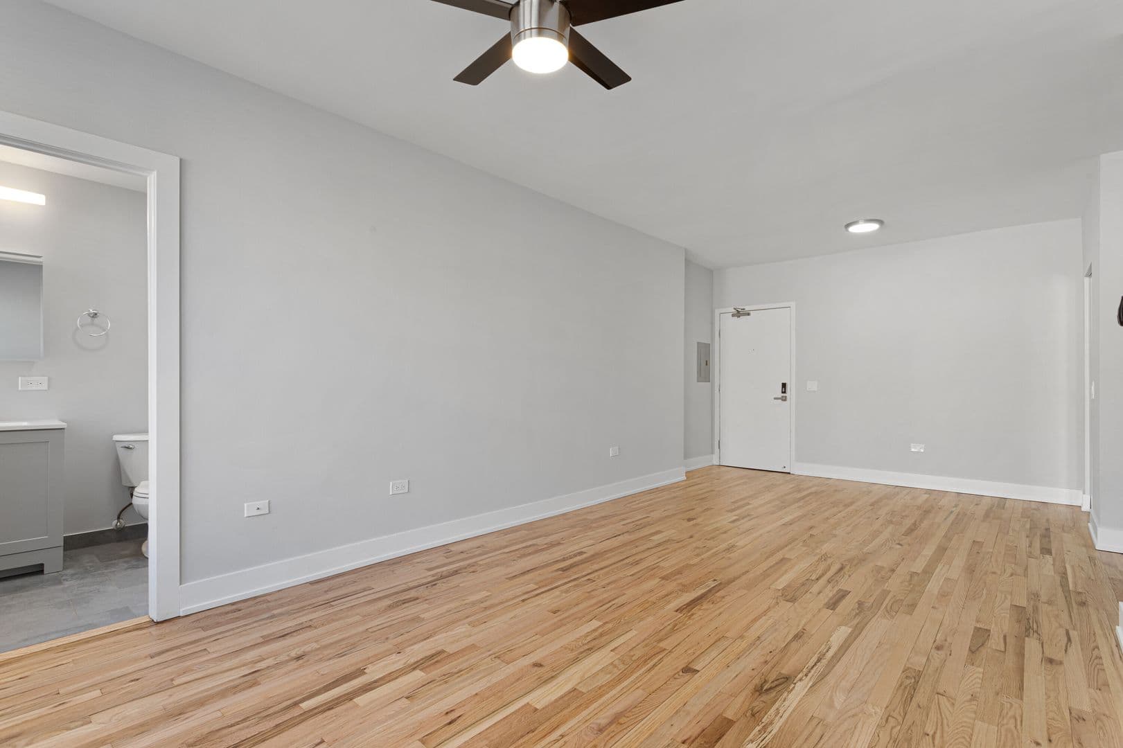 Chicago Apartment: 1625 W Howard