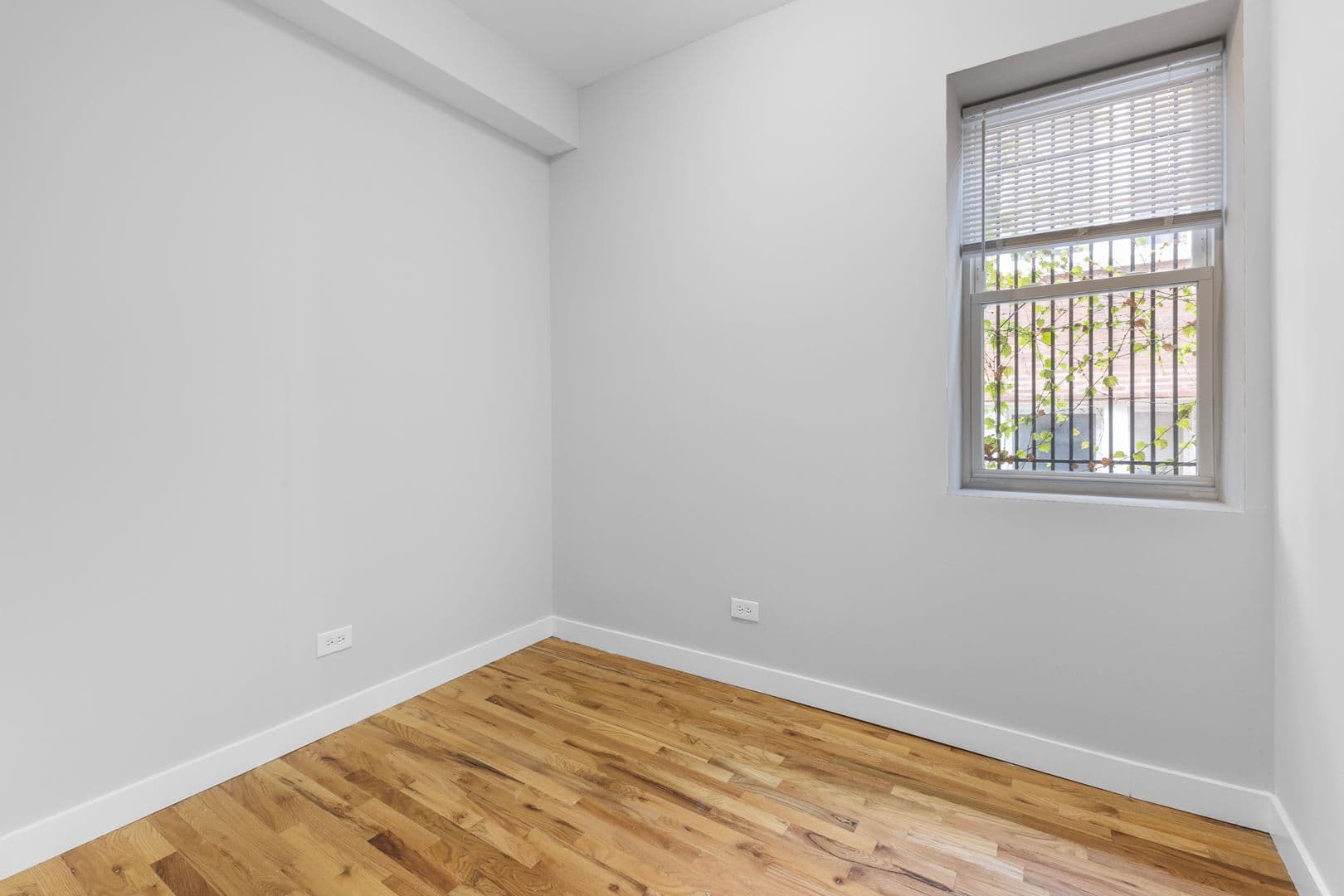 Chicago Apartment: 7450-7456 N Greenview Ave