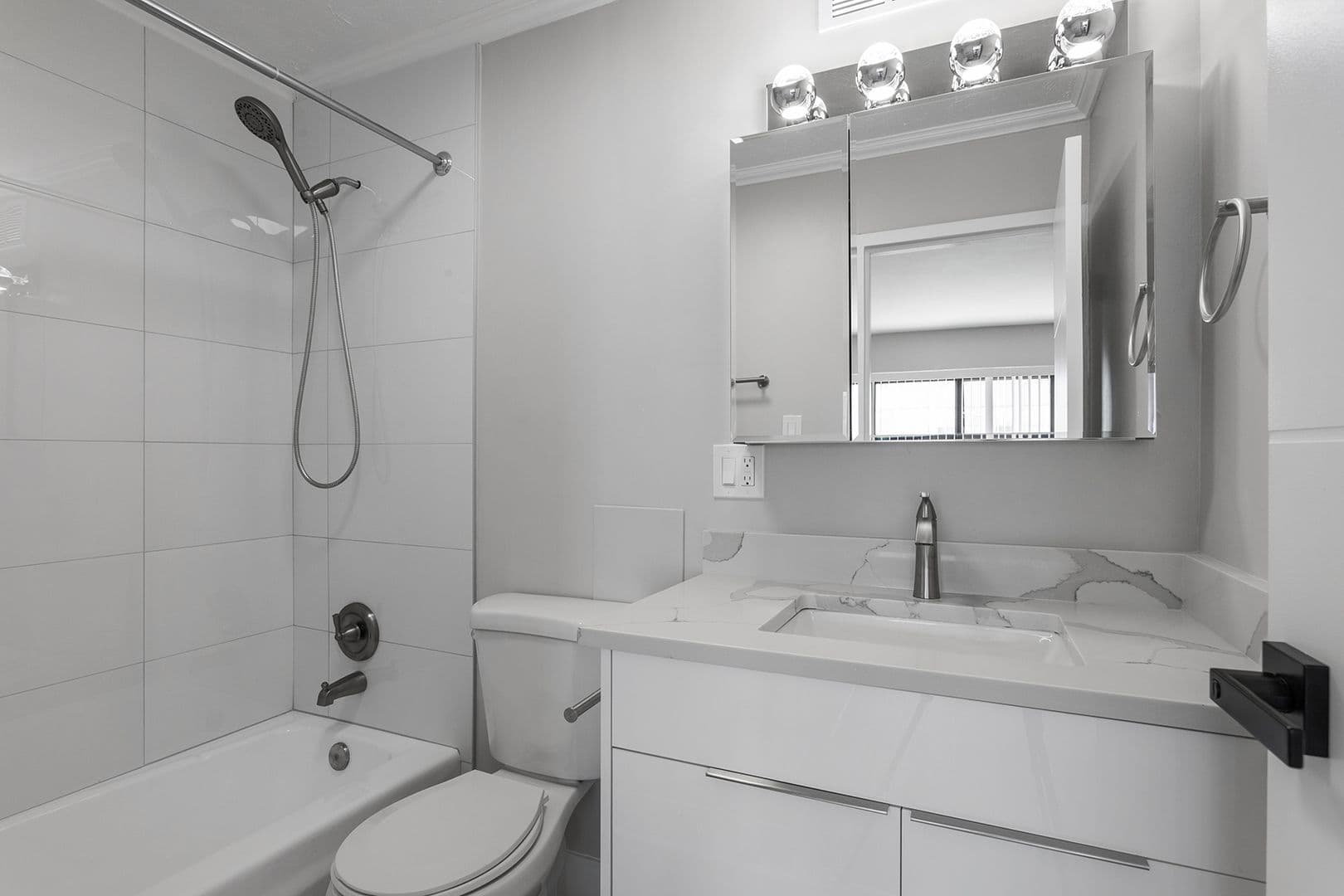 Chicago Apartment: 6166 N Sheridan Rd