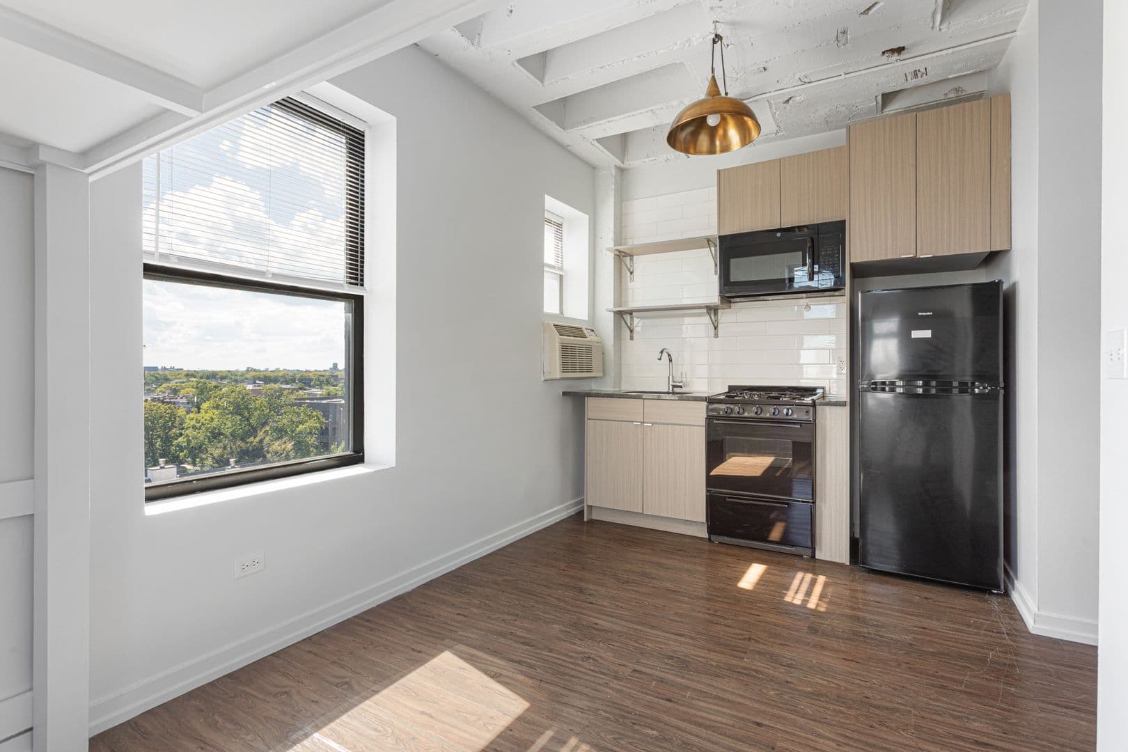 Chicago Apartment: 1325 W Wilson Avenue