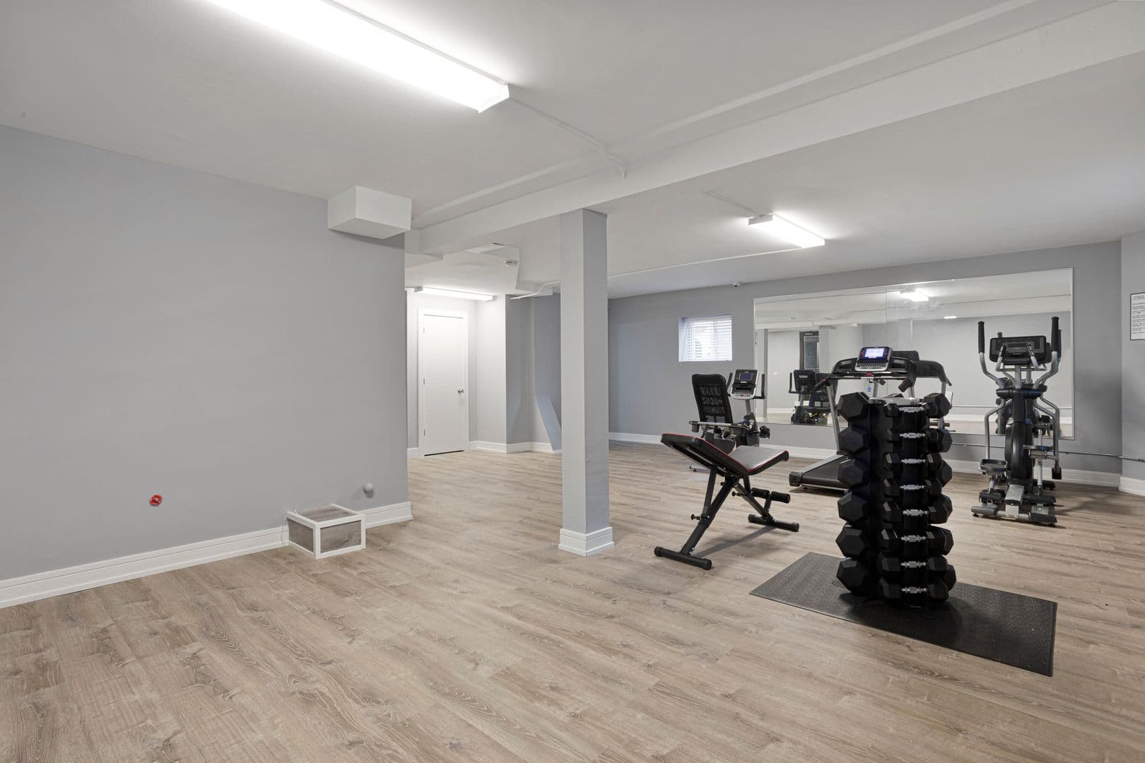 Chicago Apartment: 7320-30 N Damen Ave